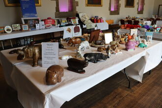 Hippos on display on a table. Image by Elizabeth Lovatt.