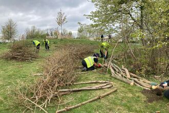 People wearing high‑visibility vests clear cut branches and logs from a grassy hillside with trees in the background.