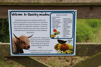A sign attached to a gate welcoming visitors to a wildflower meadow, with additional information about the meadow and what can be found there.