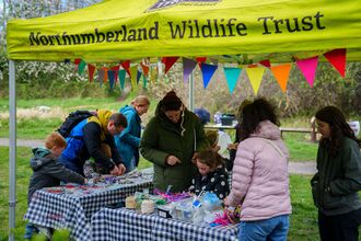 People and children at an outdoor craft stall under a bright “Northumberland Wildlife Trust” gazebo, using colourful materials and tools at a table decorated with bunting.