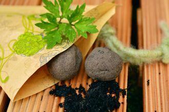 Small soil seed balls with a sprouting green plant on a wooden surface, partly wrapped in decorative paper, with loose soil and gardening items nearby.