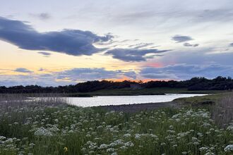 Sunset over a peaceful lake bordered by wildflowers and reeds, with dark clouds stretching across a pastel blue and orange sky above a tree-lined horizon.