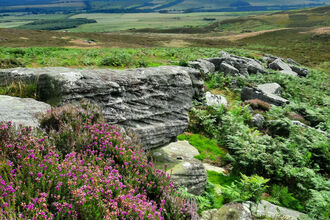 Cauldhole Moss, Simonside. Image by Duncan Hutt.