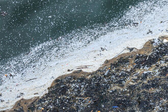 Shoreline covered with dense white plastic pellets and debris, with polluted water and dark waste accumulation along the water’s edge.