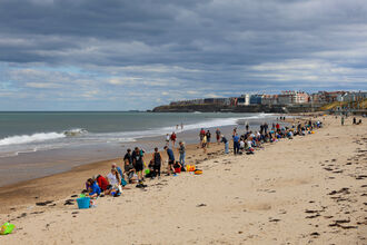 Volunteers cleaning the beach at Whitley Bay. Image by Leah Pattem.