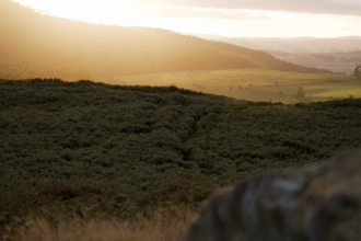 Sunset from Lordenshaws. Image by The Wildlife Trusts.