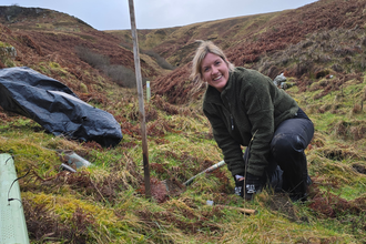 A woman tree planting on moorland.