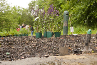 Trowels stuck into soil in front of trees. Image by Katrina Martin.