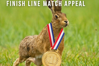 Hare standing in a field with a medal around its neck. Image by TWT.
