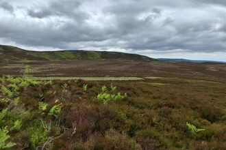 Caudhole Moss. Image by Nicola Thompson.
