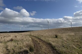 Path through West Chevington site. Image by Helen Walsh.
