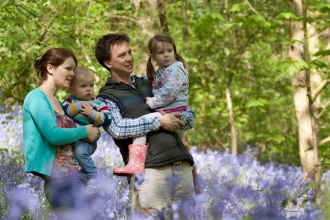 Family bluebells - Tom Marshall