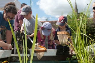 Children pond dipping - Amy Lewis