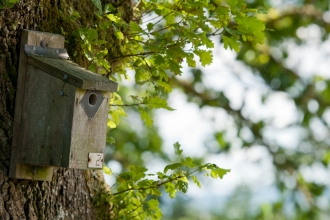 Bird box - Ross Hoddinott/2020VISION