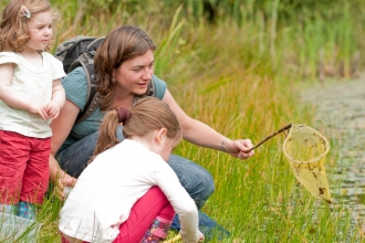Pond dipping - Ross Hoddinott/2020VISION
