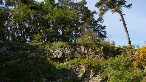 Flodden Quarry