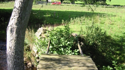 Grasslees Burn Wood