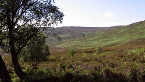 Harbottle Crags - Duncan Hutt