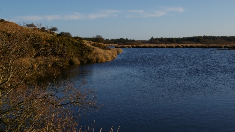 Holburn moss - Duncah Hutt