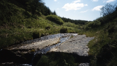 Mill burn - Duncan Hutt