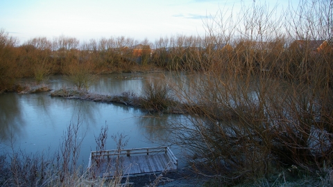 Newsham Pond