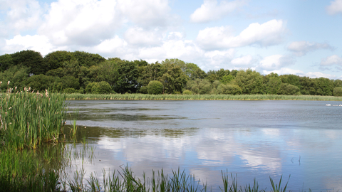 Holywell Pond panormaic - Steven Playle