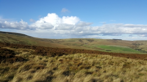 Whitelee Moor - Geoff Dobbins