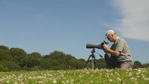 Bird spotting - Rob Jordan/2020VISION