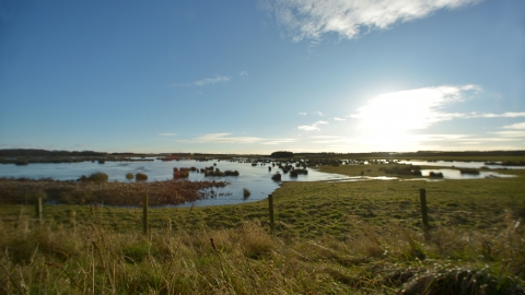 Druridge Pools - Steven Morris