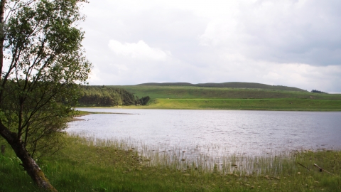 Greenlee Lough - Steven Playle