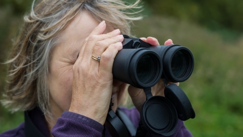 Bird watching - Matthew Roberts