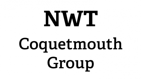 Coquetmouth local group