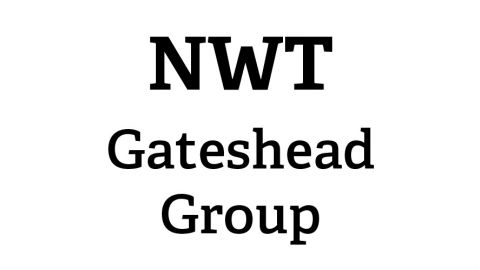Gateshead local group