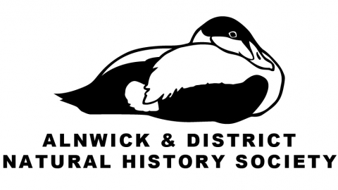 Alnwick and District Natural HIstory Society local group