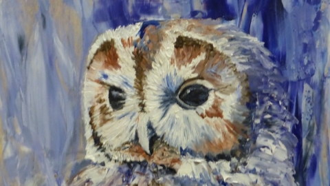 Diane Patterson -Night owl