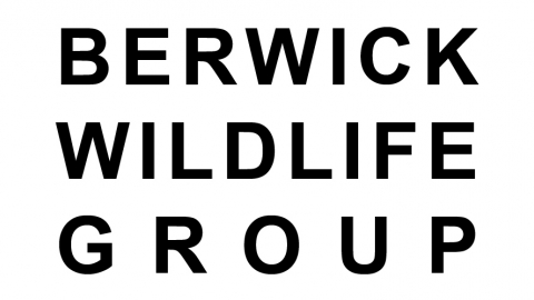 Berwick local group