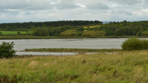 East Chevington Nature Reserve - Steven Morris