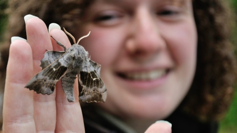 Jenna Berry and moth