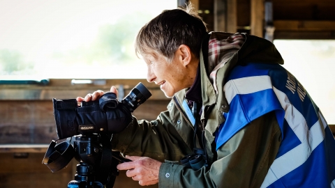 Guide in the hide - Simon Greener