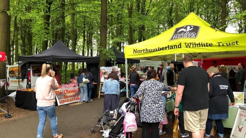Northumberlandia Craft Fair - Events2gogo