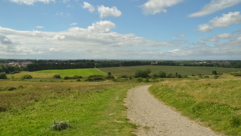 Weetslade Country Park - Steven Morris