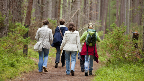 Women walking through trees.