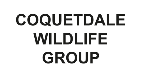 Coquetdale wildlife local group