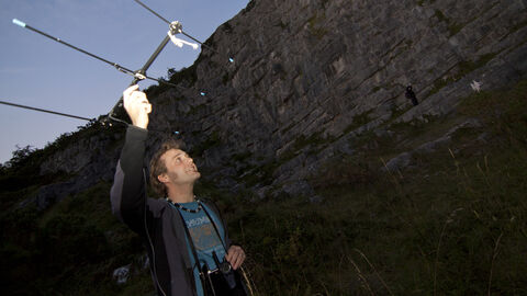 Bat surveyor - Tom Marshall