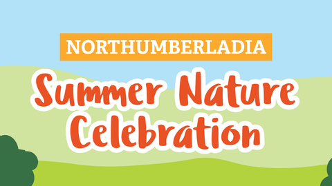 Northumberlandia summer nature celebration banner