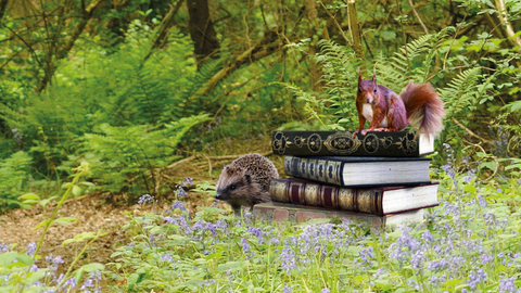 Storytelling with Jim banner