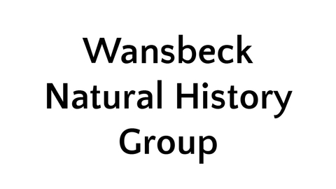 Wansbeck Natural History Group