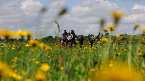 Group walking through a field of yellow flowers