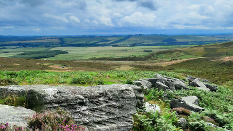 Upland area of Rothbury with rocks and plants in foreground and horizon in the distance, with text that reads "Rothbury for Nature and the Nation".