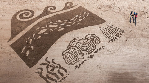 The image shows a large sand drawing on a beach, viewed from directly overhead. The artwork depicts a stylized seascape:  waves are represented by swirling lines, a school of fish swim within a curved area,  and kelp forests and oyster beds are indicated with detailed, textured lines.  The style is reminiscent of ancient petroglyphs or Celtic knotwork. A small group of people stand near the artwork, their shadows cast on the sand, providing a sense of scale. The overall e